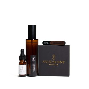 Alternative view of Natural Car Refresher Gift Set