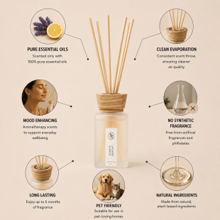 Lime & Tea Tree Natural Reed Diffuser - Elevating - Image 3